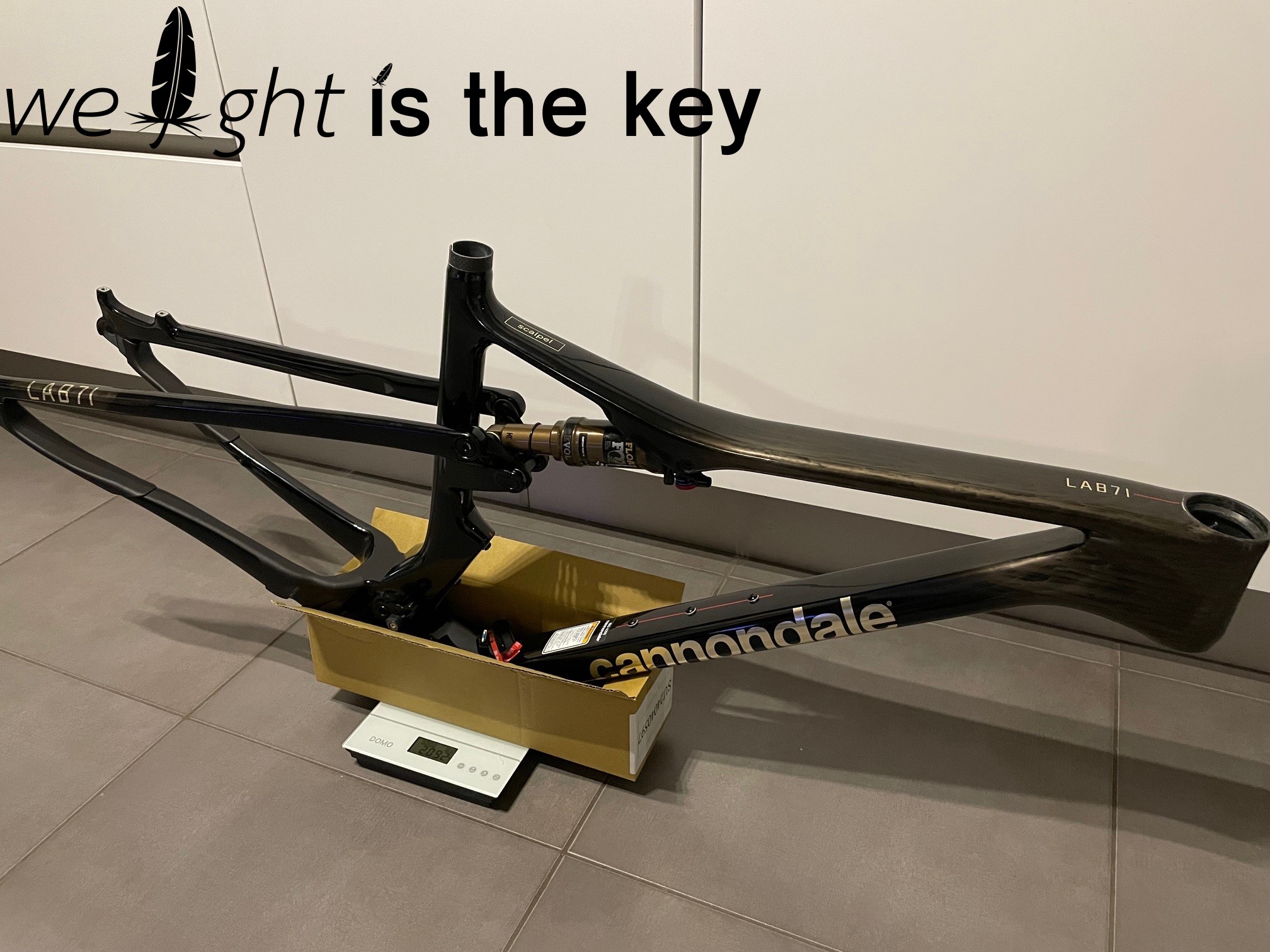Scalpel Lab 71